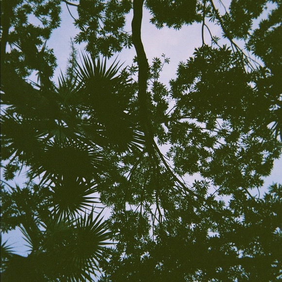 🔮 hellooooo! - Picture 7 of 7